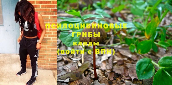 ECSTASY Гусиноозёрск