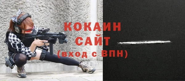ешки Гусев