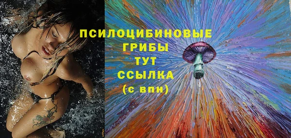 ECSTASY Гусиноозёрск