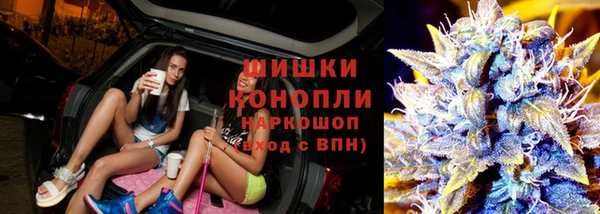 ешки Гусев