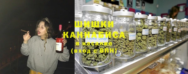 ешки Гусев