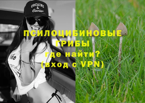 ECSTASY Гусиноозёрск