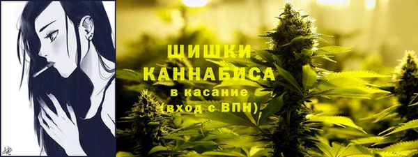 ешки Гусев