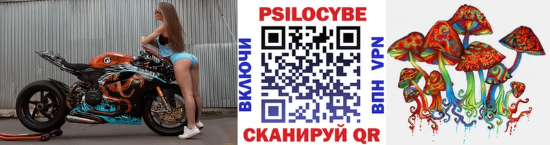Купить где  Усмань  Галлюциногенные грибы Cubensis 